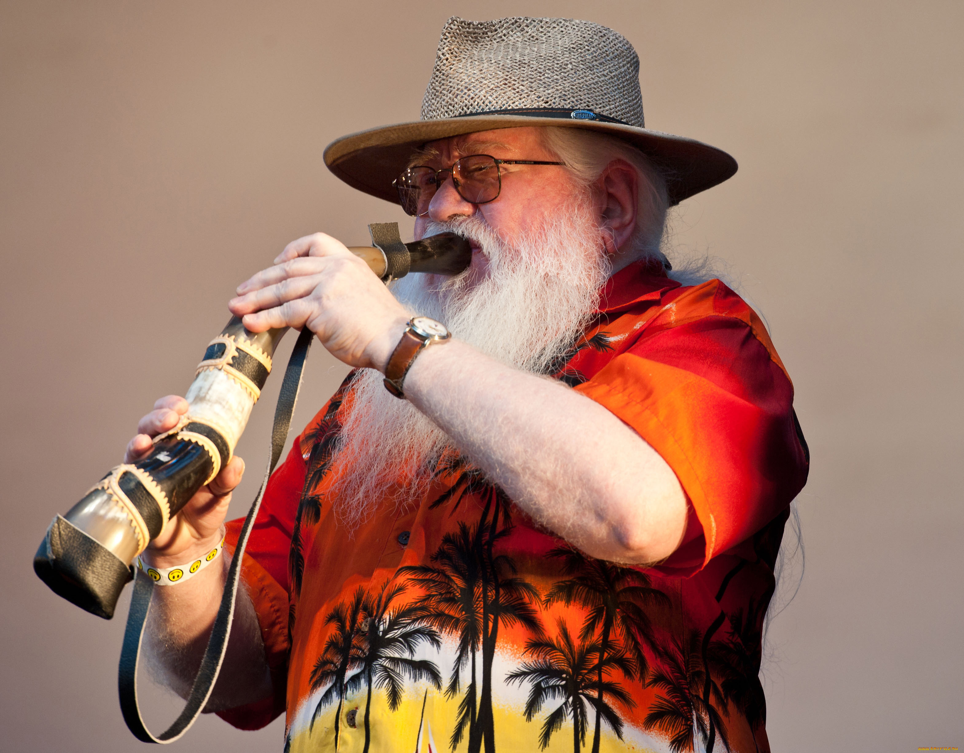 Hermeto pascoal. Hermeto Pascoal Википедия. Эрмето Паскаль. Hermeto Pascoal кто это.